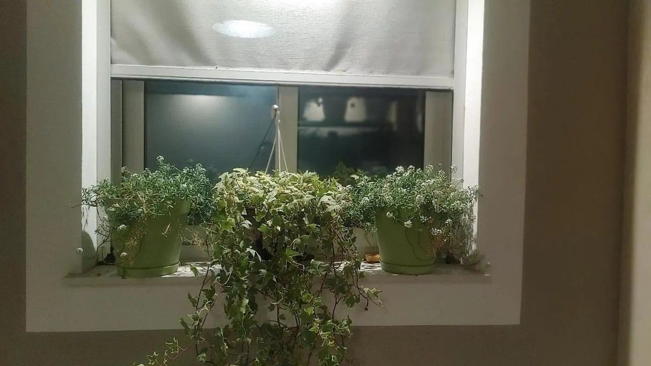 Apartment Attico Sul Porto Di Catania E Vista Vulcano